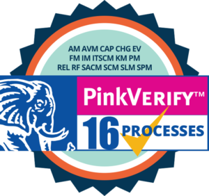 PinkVerify 16Processes